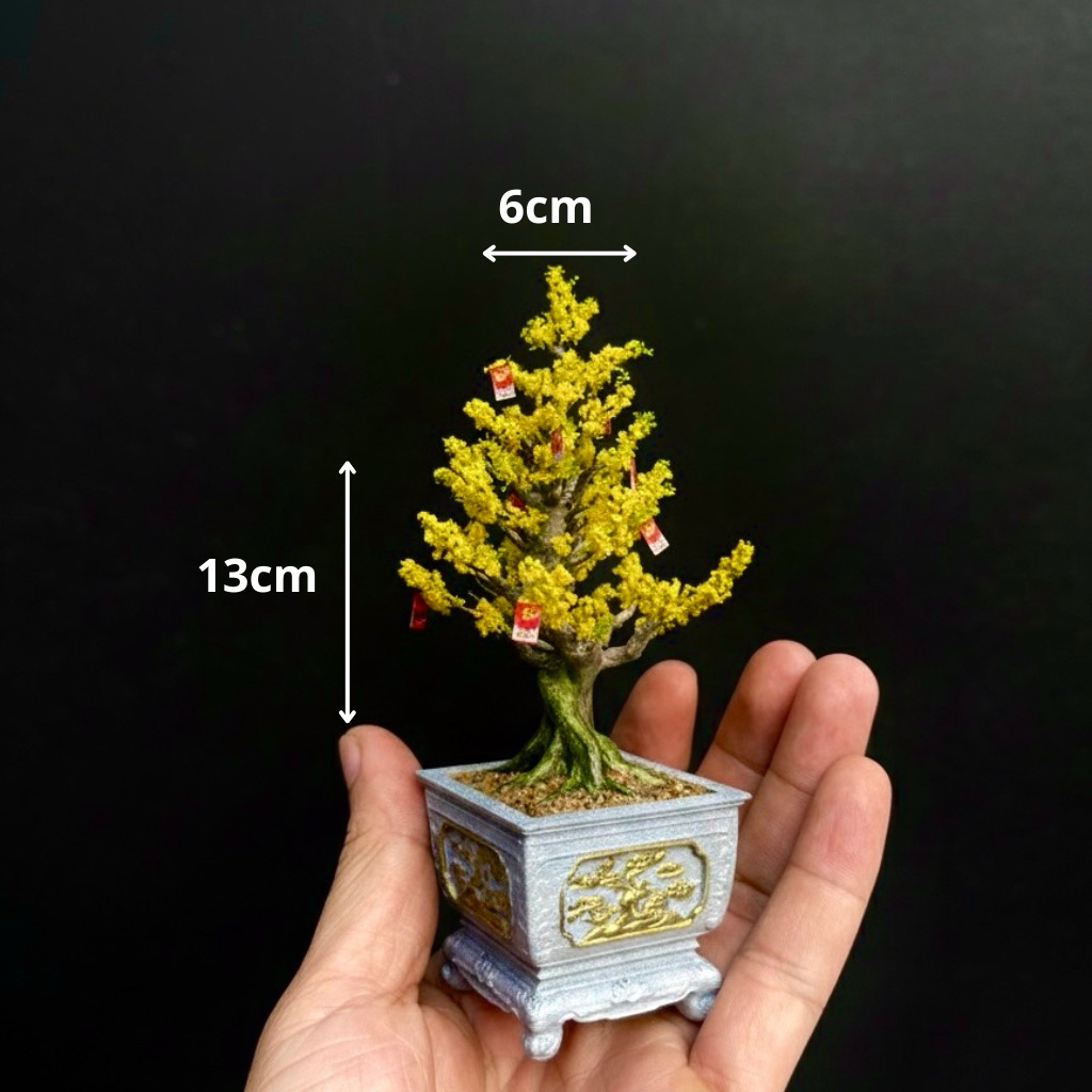 Chậu Hoa Mai Bonsai Mini